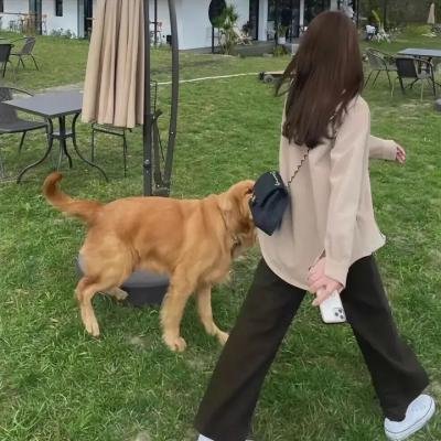恋恋不忘的我们